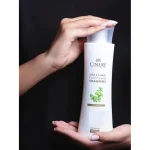 شامپو تقويتی و ضد ریزش موی سینره، سازگار با موهای بانوان، حاوی روی، سابال، Pro-Vitamin B5، عصاره جینکوبیلیا و ویتامین E، با حجم 250 میلی‌لیتر